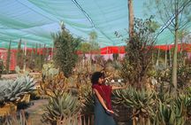 3 Days of Martial Arts, Self Defense and Meditations in Marrakech