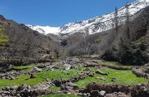 Atlas Mountains Day Trek