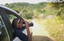 Addo Elephant Park multi-day Photo Safari