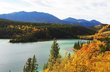 Arctic Day: Carcross & Southern Lakes Hiking Tour | full day
