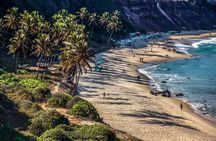 Sun and Fun at Pipa Beach: Day Tour from Natal