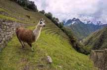 Inca Trail Trek to Machu Picchu - 2 Days (Small Group or Private)