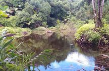 Explore Mare Aux Cochons Trail