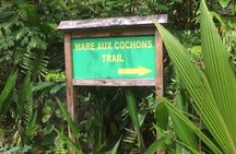 Explore Mare Aux Cochons Trail