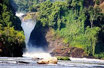 5 Days Murchison Falls and Kibale National Park