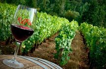 Willamette Valley Wine Tour from Portland 