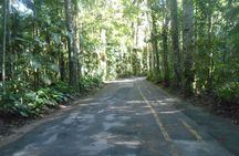 Tijuca Forest National Park