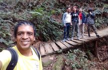 Tijuca Forest National Park