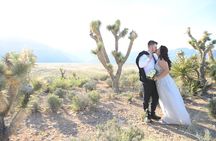 Red Rock Canyon Wedding by Private Limousine