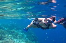 All Ticket Inclusive-Blue Lagoon Snorkeling-Ubud Monkey Forest & Ubud Waterfall 