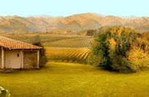Colchagua Full Day Wine Tour: Casa Silva & L'Apostolle Wineries