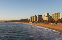 Full day valparaiso and viña del mar from Santiago seasonal offer