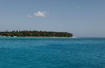 Saona Island Full Day From Punta Cana