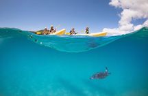 Kayaking with Dolphins in Byron Bay Guided Tour
