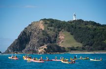 Kayaking with Dolphins in Byron Bay Guided Tour