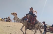Private Guided Tour to Giza Pyramids and Sphinx 