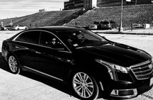 Chicago 6-Hour City Tour by Sedan
