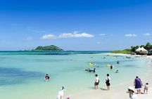 Full Day Jeju Private Customizable highlight Tour 