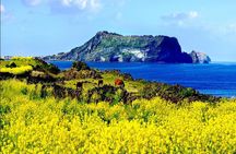Full Day Jeju Private Customizable highlight Tour 