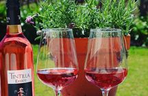Tintilla Estate: Wine Tasting with a Meat and Cheese Platter