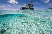Toa Boat Bora Bora Private Lagoon tour with Lunch on Ambassador Boat