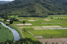 Best Kauai Northeast, Fern Grotto River Cruise & Lighthouse Tour