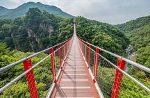 DMZ Tour: 3rd Tunnel, Option(Suspension Bridge, Boat) from Seoul