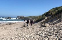 Small Group Kangaroo Island Tour - Seal Bay