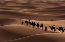 Morning Desert Safari with Dune Bashing and Sand Boarding