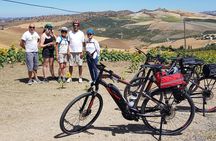 Wine & Tapas tour by electric bike (e-bike) including Ronda pickup (half day)