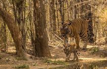 8 Days Private Golden Triangle Tour With Ranthambore