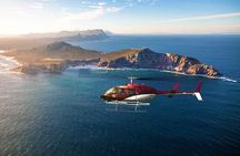 Scenic Cape Point Helicopter Tour from Cape Town