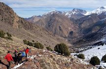 Comfort Valleys Trek 