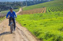 From Cape Town: Full Day Electric Bike Winelands Tour & Lunch 