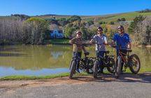 From Cape Town: Full Day Electric Bike Winelands Tour & Lunch 