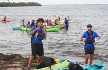 Bio Bay Night Kayaking with Transport from San Juan Area 