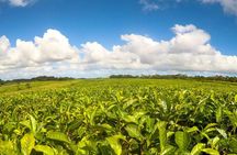 Full-Day South Tour of Mauritius, ALL INCLUSIVE Day Trip, Private SUV Car, Guide