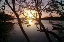 Tamarindo River Boat Tour