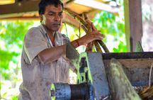 Full-Day South Tour of Mauritius, ALL INCLUSIVE Day Trip, Private SUV Car, Guide