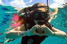 Official Chankanaab Beach Park Day pass with Snorkeling