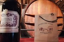 Tastings and lunch in Maipú! One of the oldest regions of Mendoza