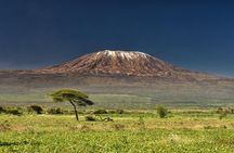 1 day Kilimanjaro Cycle Shira Route