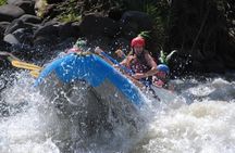 White Water Rafting Class II- III From Sarapiquí