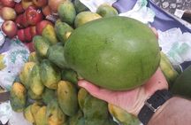 Christ, St. Teresa, Selaron & Farmers Market. 6 Hours Tour.