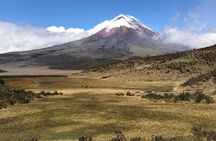 Private Tour Cotopaxi