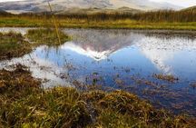 Private Tour Cotopaxi