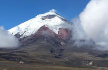 Private Tour Cotopaxi