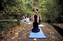 Etna Volcanic Yoga and Meditation - Private Experience