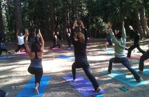 Etna Volcanic Yoga and Meditation - Private Experience