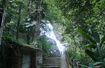 Tour 7 ( 4 hours ) : Tijuca National Park and Favela